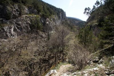 Прикрепленное изображение: A58DSC08256.jpg